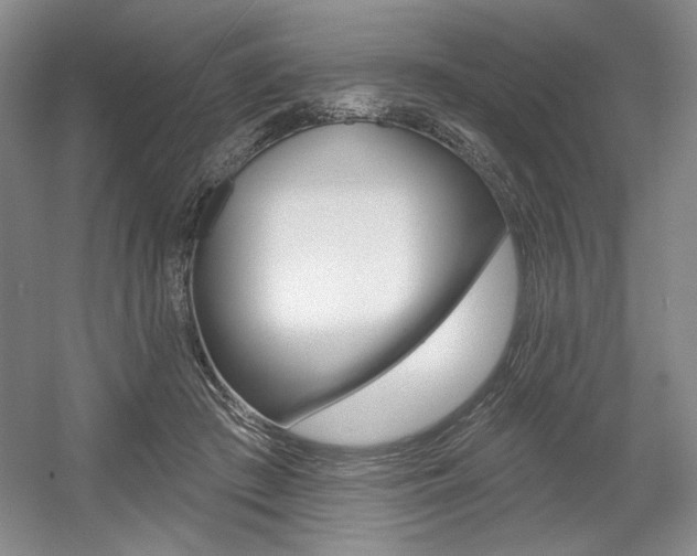 X0000056010409200508190859
