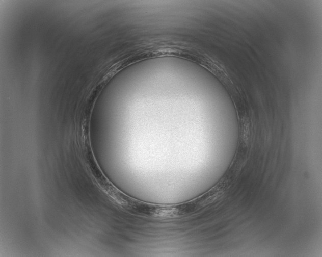 X0000056010410200508190859