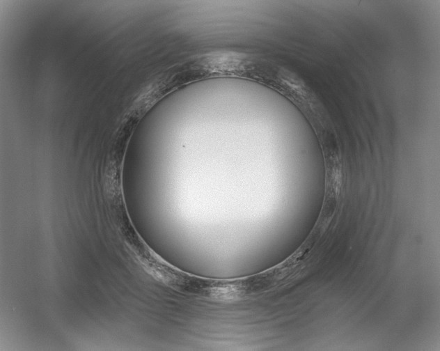 X0000056010411200508190859