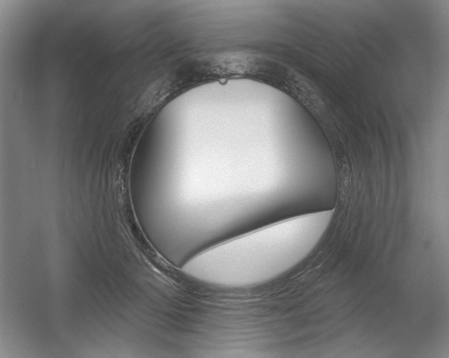 X0000056010414200508190859