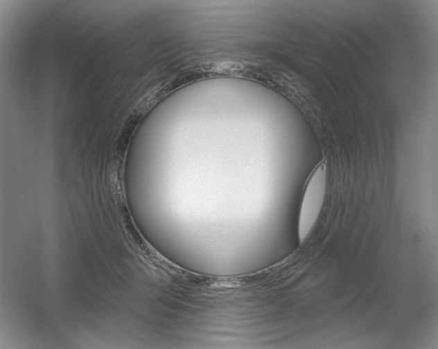 X0000056010415200508190859
