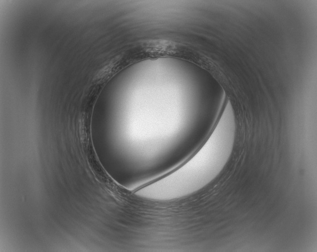X0000056010416200508190859
