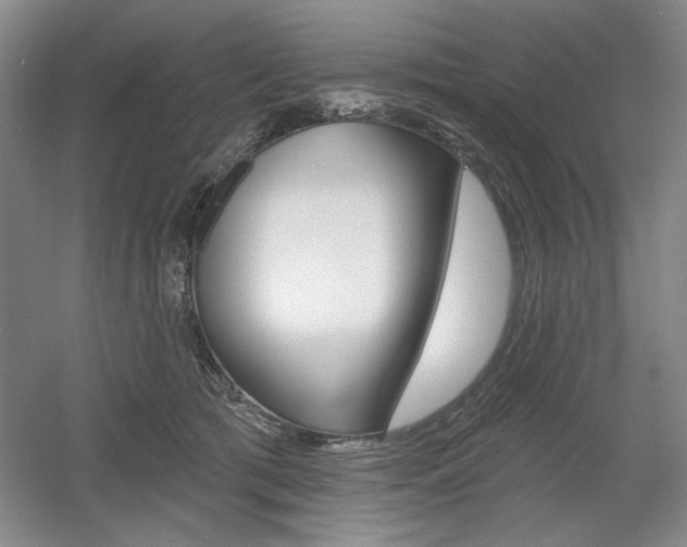X0000056010417200508190859