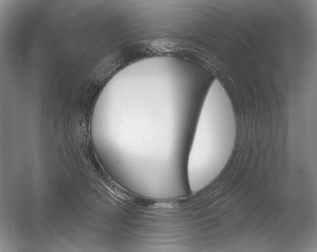 X0000056010418200508190859