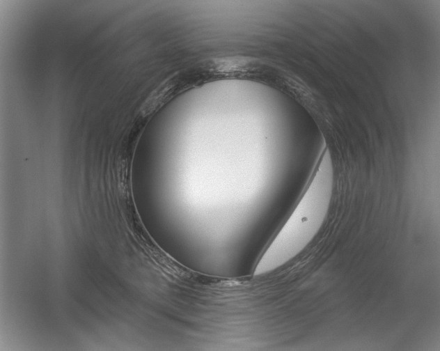 X0000056010421200508190859