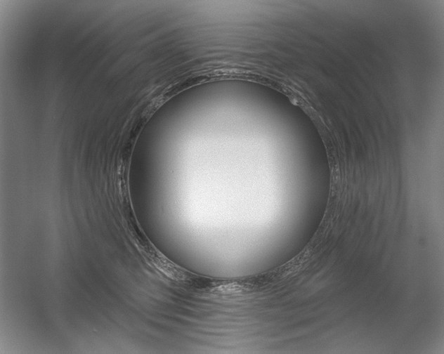 X0000056010423200508190859