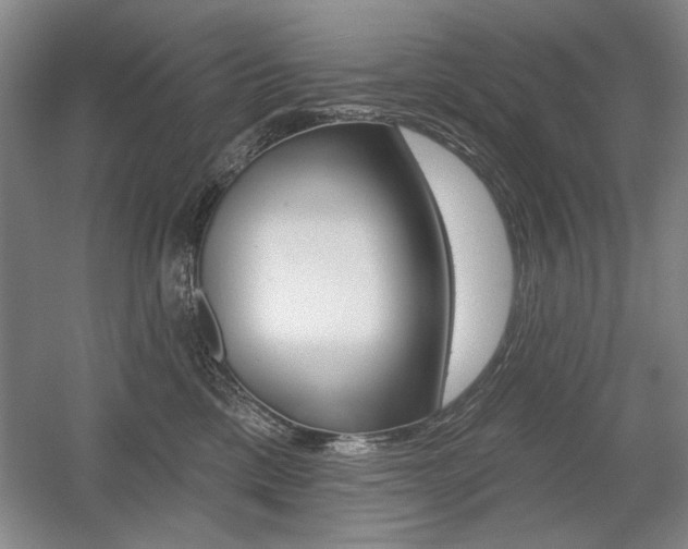 X0000056010425200508190859