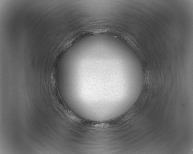 X0000056010426200508190859