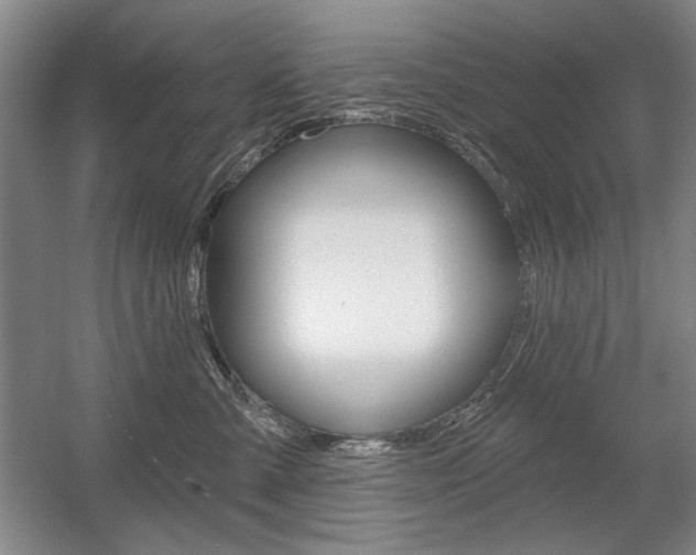 X0000056010427200508190859