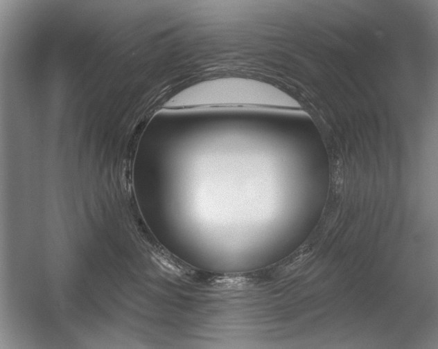X0000056010428200508190859