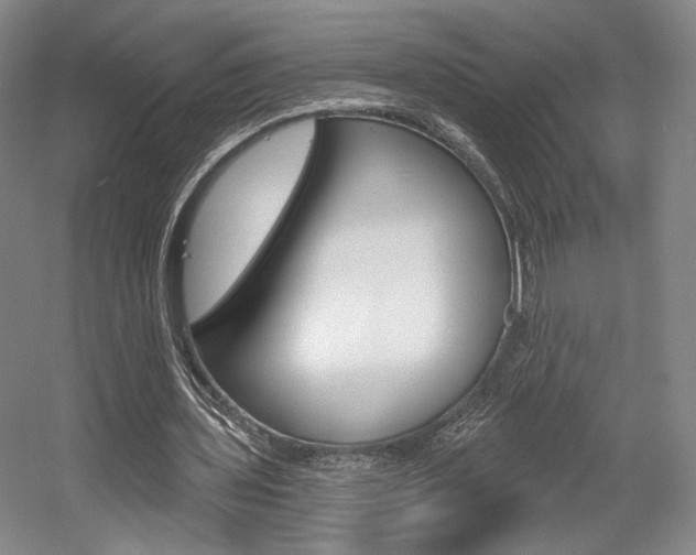 X0000056010435200508190858