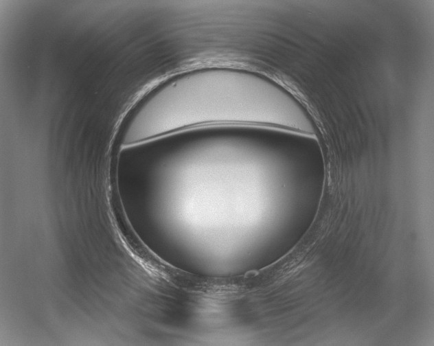 X0000056010438200508190858