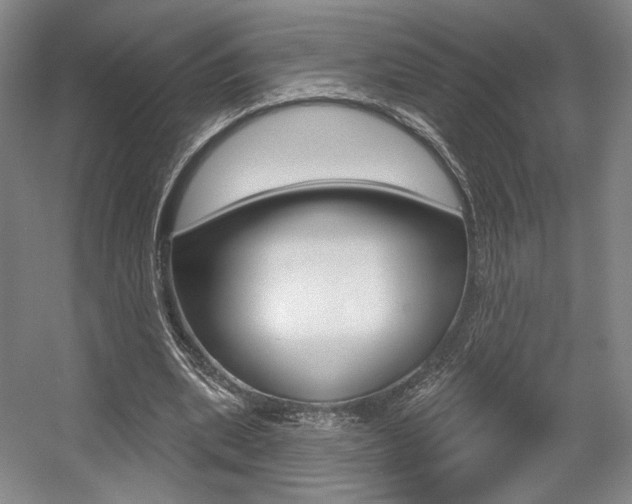 X0000056010439200508190858