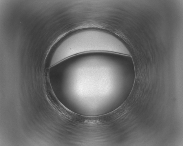 X0000056010440200508190858