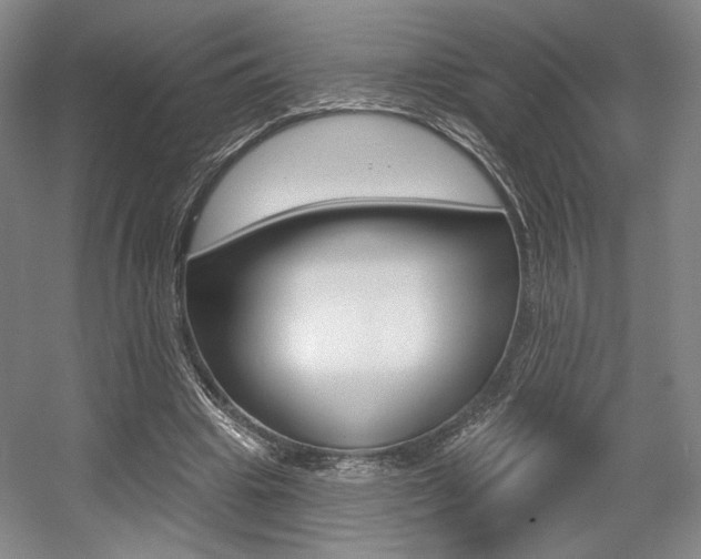 X0000056010441200508190858