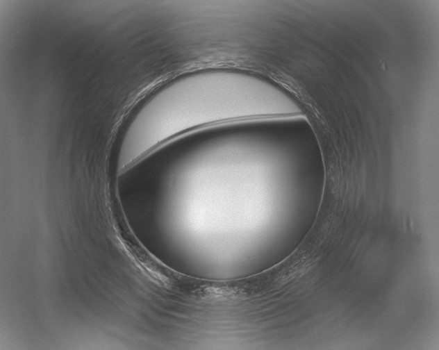 X0000056010442200508190858