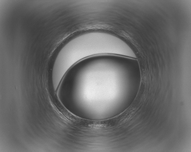 X0000056010448200508190858