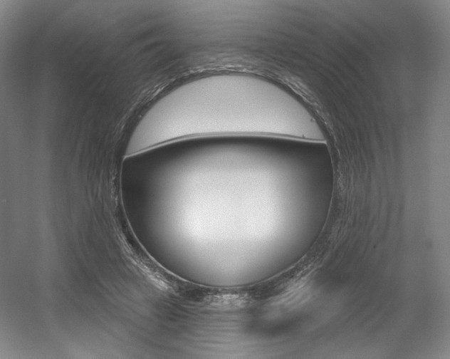X0000056010449200508190858