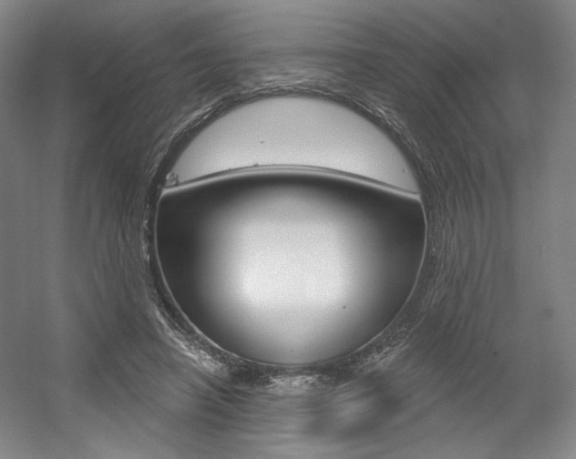 X0000056010450200508190858