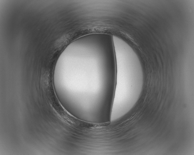 X0000056010451200508190858