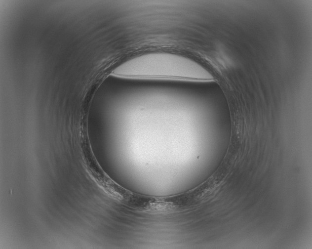 X0000056010455200508190858