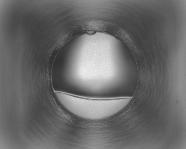 X0000056010457200508190858