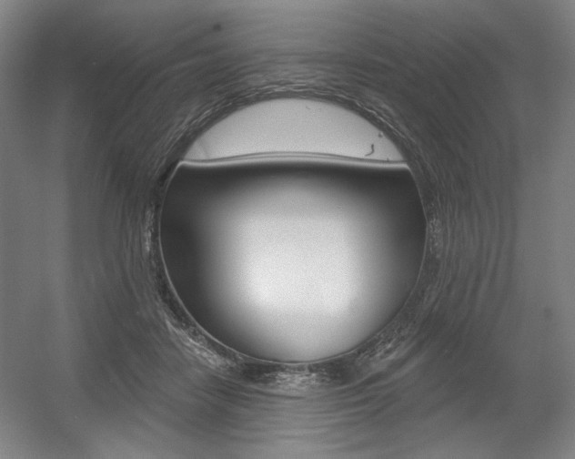 X0000056010458200508190858