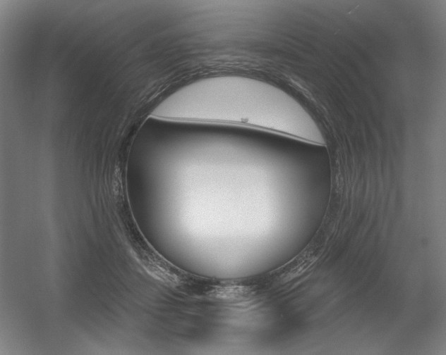 X0000056010459200508190858