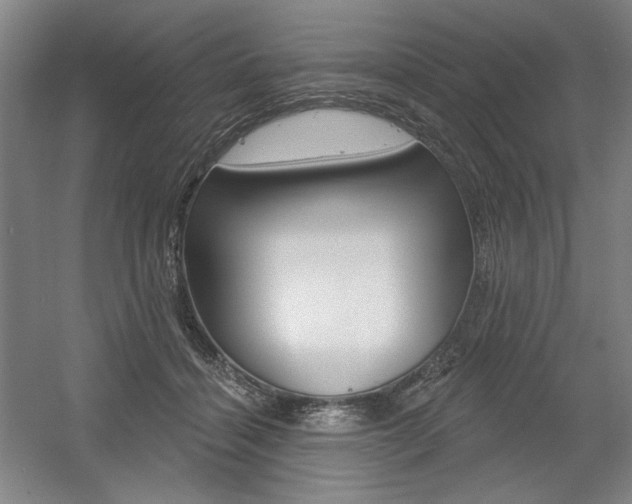 X0000056010460200508190858