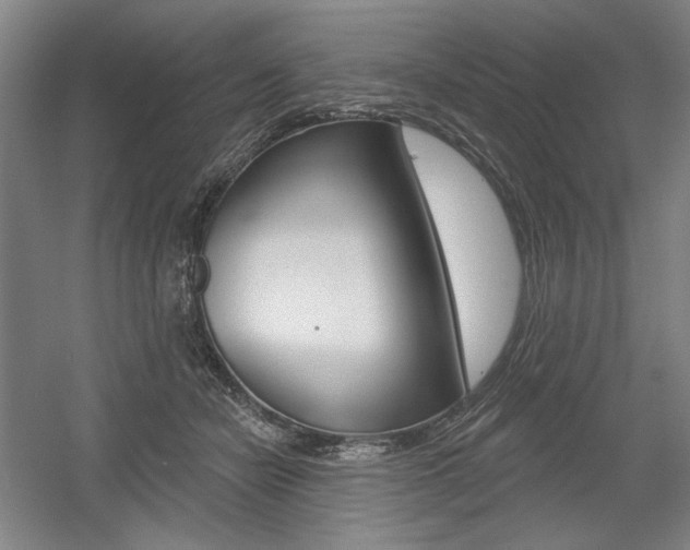 X0000056010462200508190858