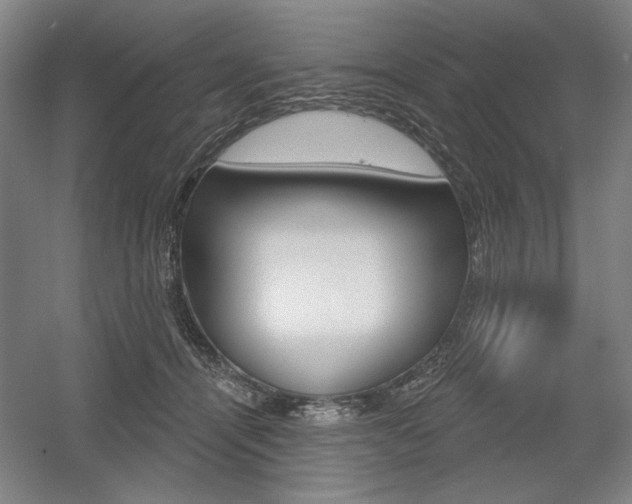 X0000056010464200508190858