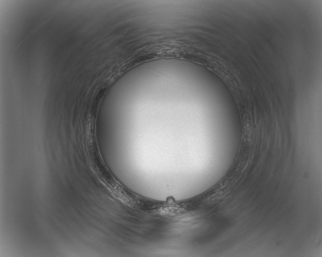 X0000056010468200508190858