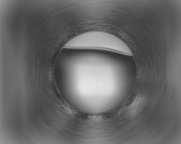 X0000056010469200508190859