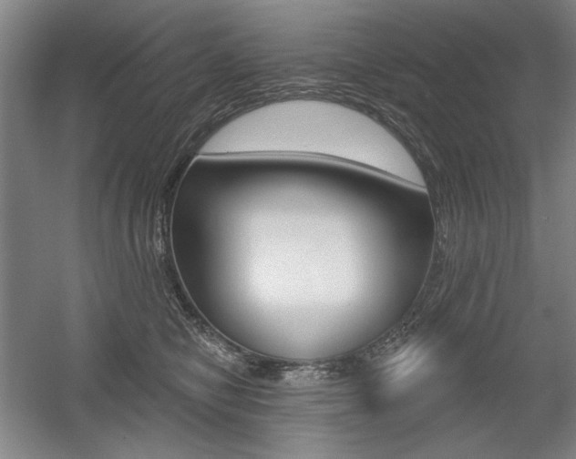 X0000056010470200508190859