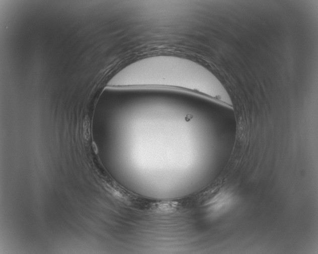 X0000056010474200508190859