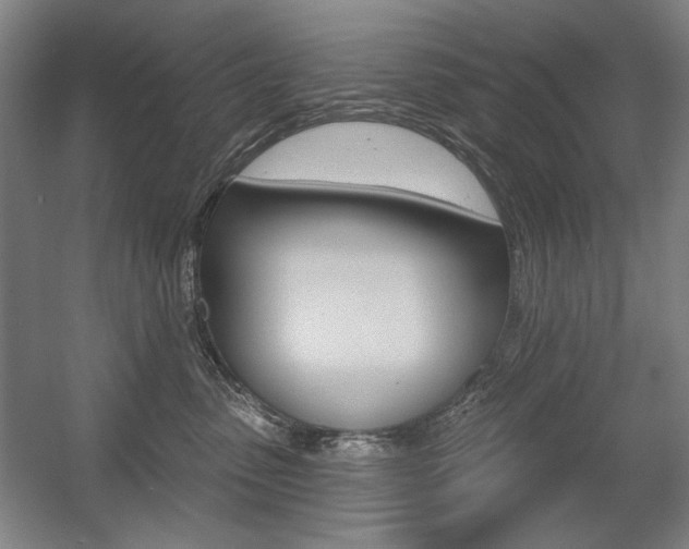 X0000056010475200508190859