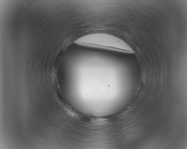 X0000056010476200508190859