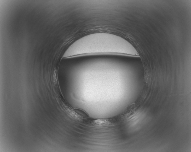 X0000056010477200508190859