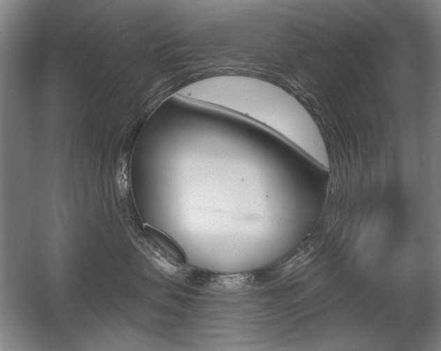X0000056010479200508190859