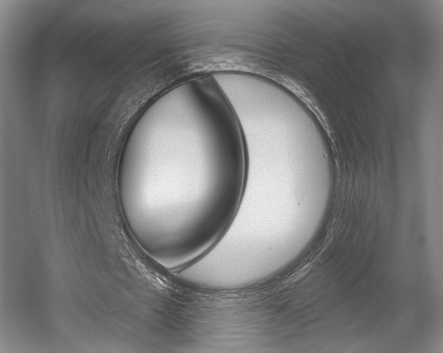 X0000056010481200508190858