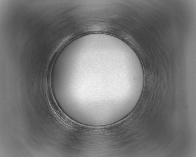 X0000056010482200508190858