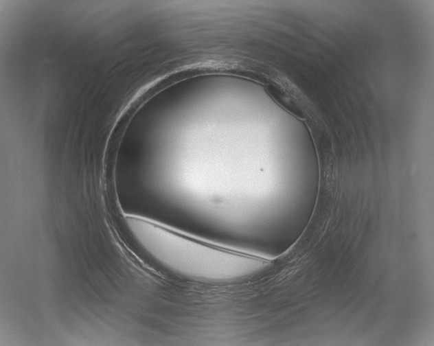 X0000056010484200508190858