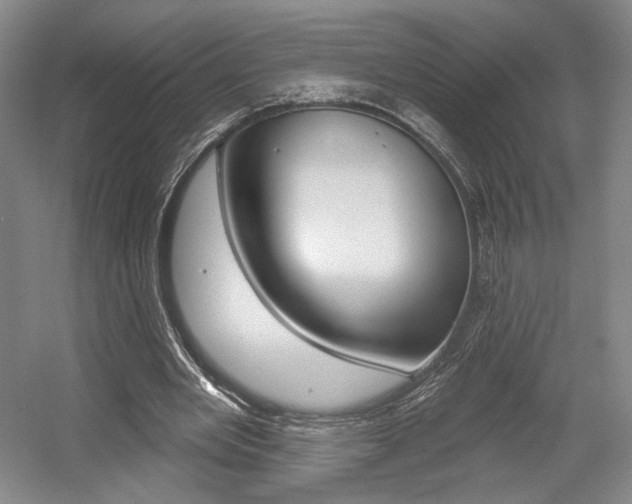 X0000056010485200508190858