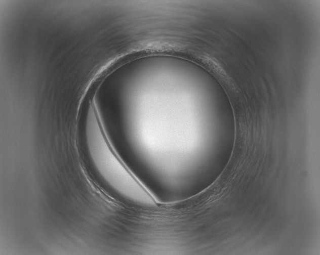 X0000056010488200508190858