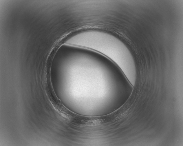 X0000056010492200508190858