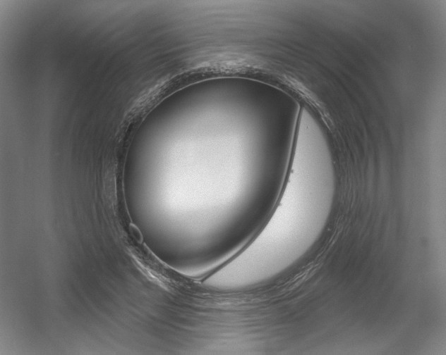 X0000056010493200508190858