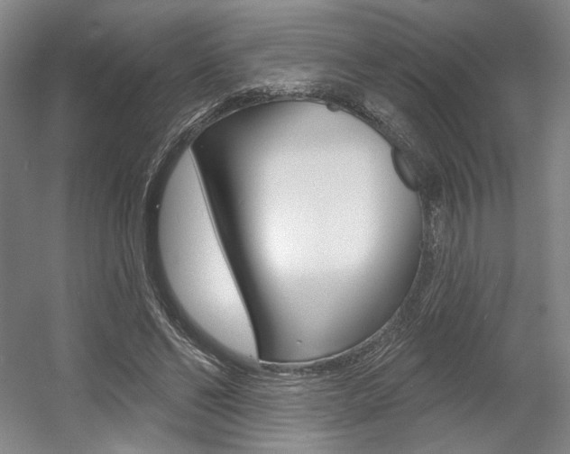 X0000056010494200508190858