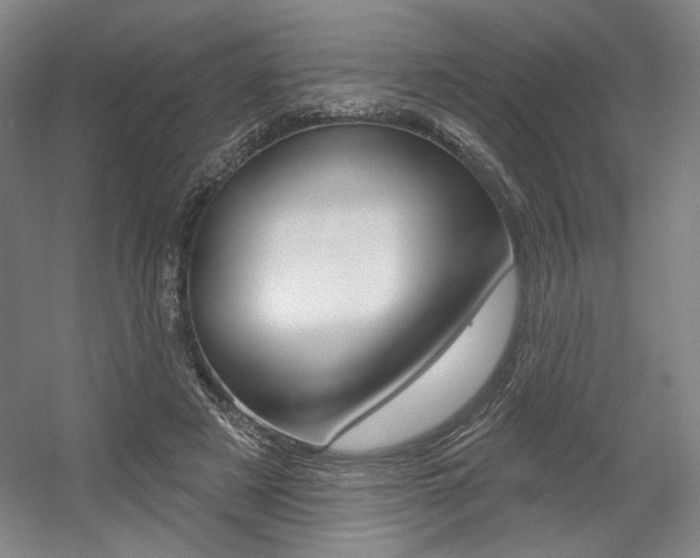 X0000056010497200508190858
