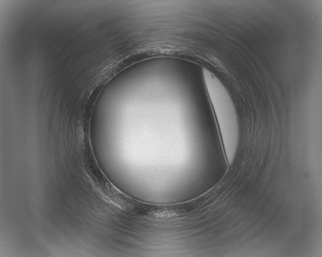 X0000056010500200508190858