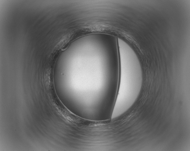 X0000056010501200508190858